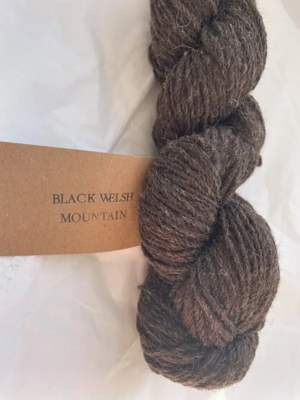 The Black Welsh Mountain from Gullet Farm - DK lambswool - Image 2
