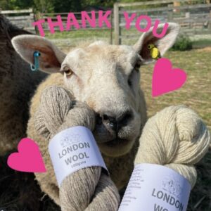 London City Farm Yarn - DK wool