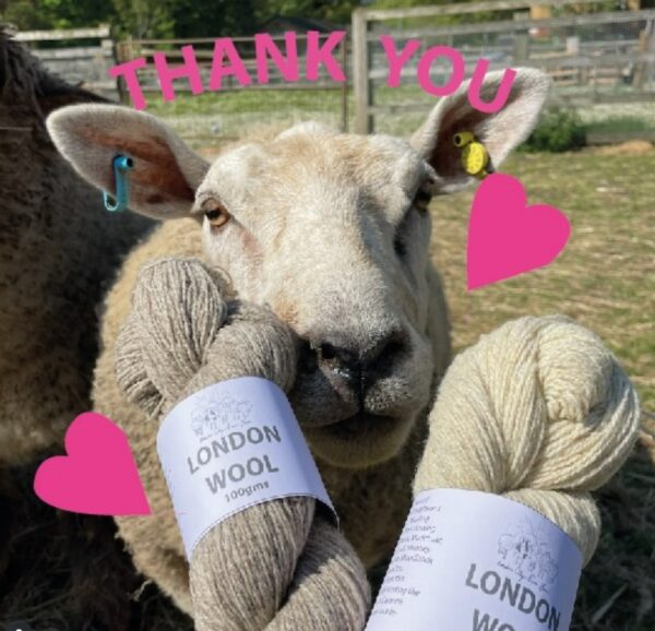 London Wool - DK wool from London City Farm Yarn