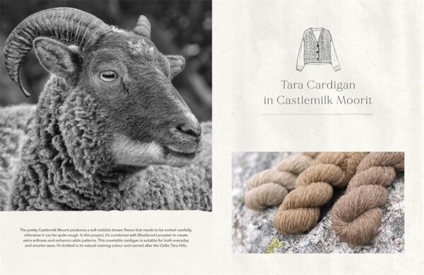 The Wonder Of Wool: A knitter's guide to pure breed sheep - Image 5