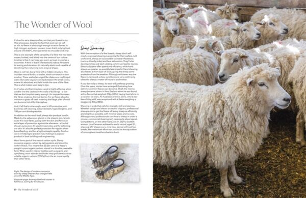 The Wonder Of Wool: A knitter's guide to pure breed sheep - Image 9