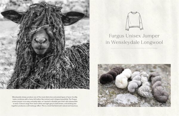 The Wonder Of Wool: A knitter's guide to pure breed sheep - Image 7