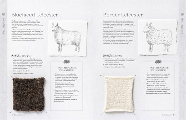 The Wonder Of Wool: A knitter's guide to pure breed sheep - Image 8