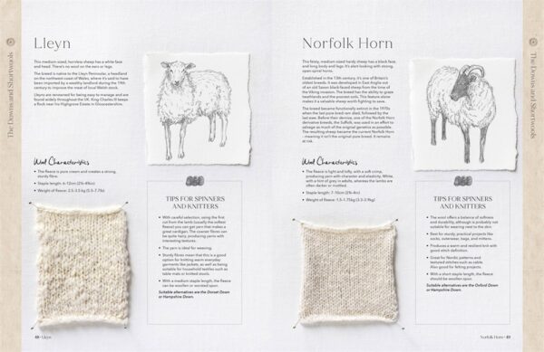 The Wonder Of Wool: A knitter's guide to pure breed sheep - Image 3