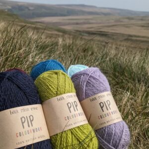 Baa Ram Ewe Pip Colourwork 4ply