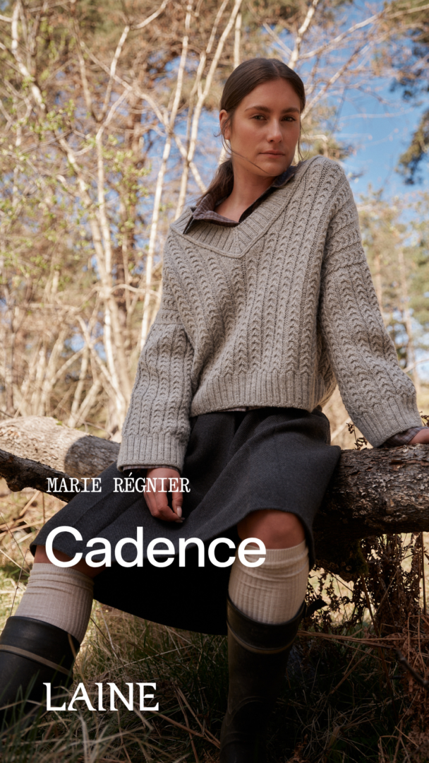 Laine Anniversary Issue - Image 15