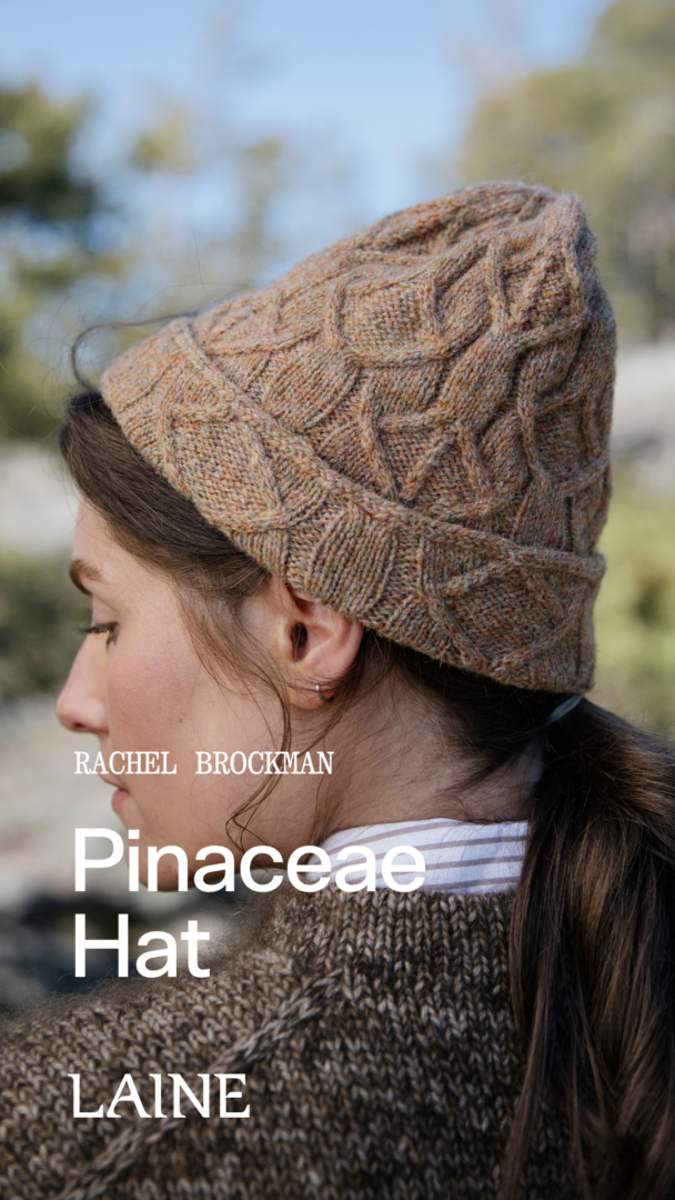Laine Anniversary Issue - Image 4